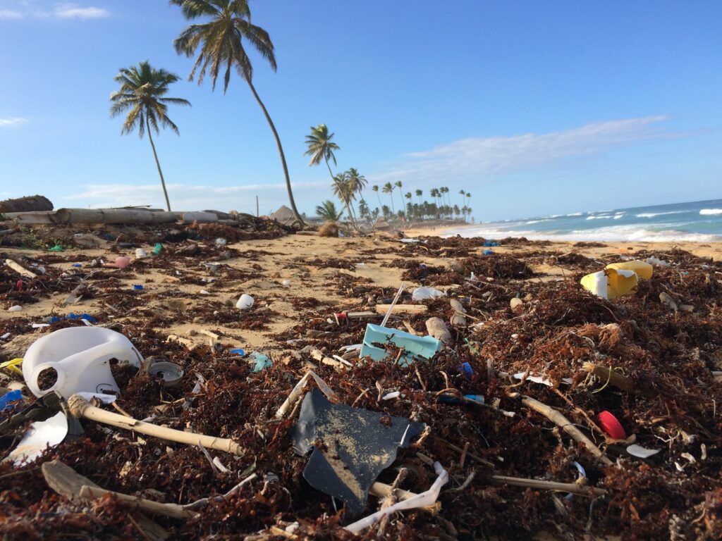 Plastikmüll reduzieren